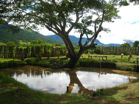 Sabeto Hot Springs and Mud Pool