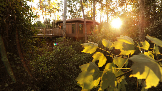 Disney's Saratoga Springs Resort & Spa