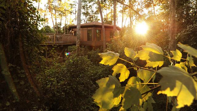 Disney's Saratoga Springs Resort & Spa