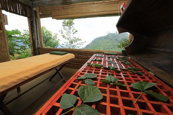 98 Acres Resort & Spa