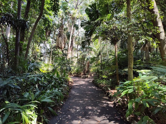 City Botanic Gardens