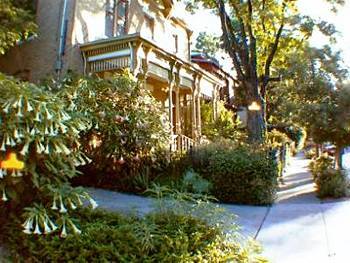 A Yellow Rose Bed and Breakfast