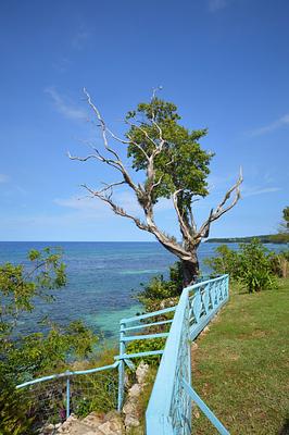 Te Moana Cottages
