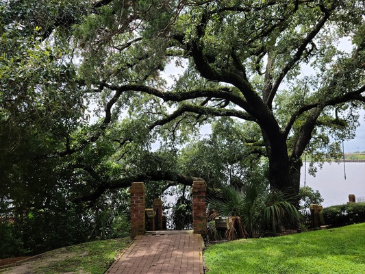Kaminski House Museum