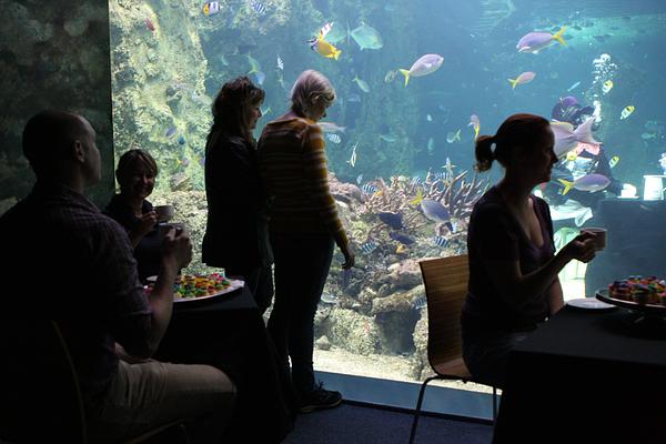 Sea Life Sydney Aquarium