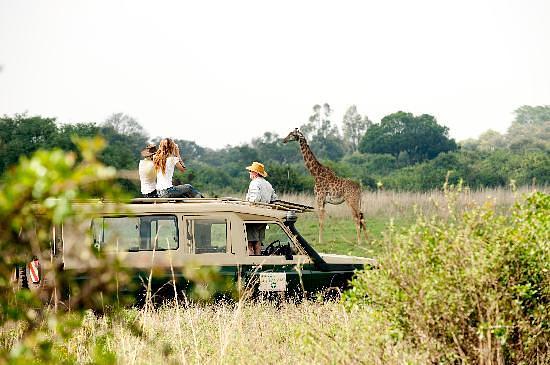 Nairobi Tented Camp