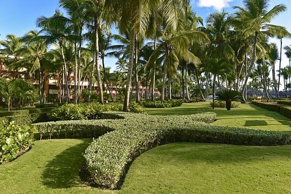 Iberostar Punta Cana
