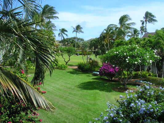Pua Mau Place Arboretum & Botanical Garden