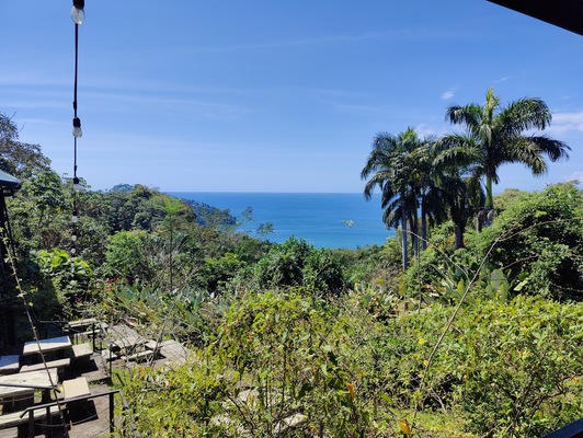 Barba Roja Restaurant