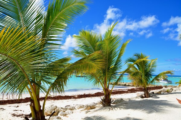 Dover Beach