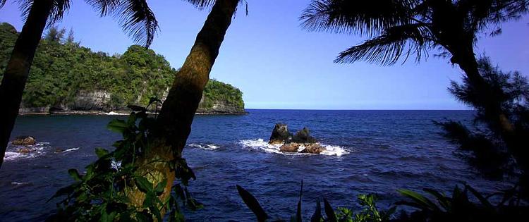 Hawaii Tropical Bioreserve and Garden