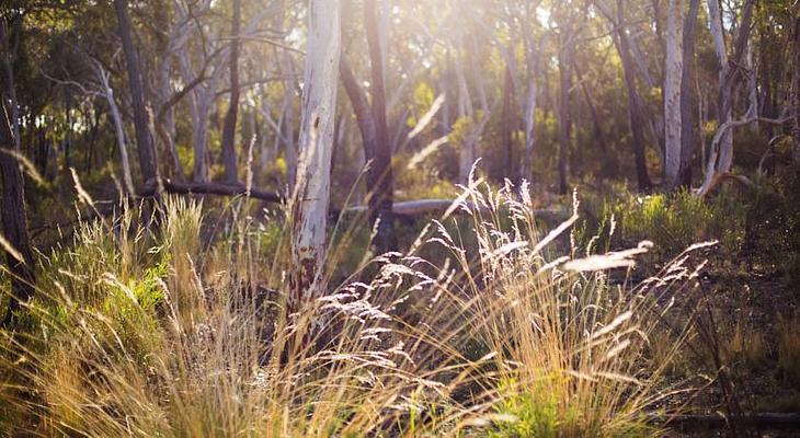 Alivio Tourist Park Canberra