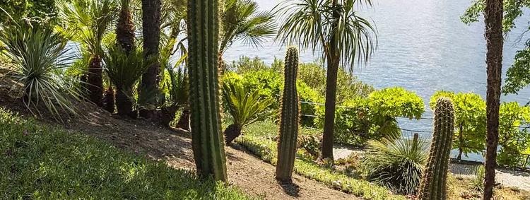 Il Giardino Botanico