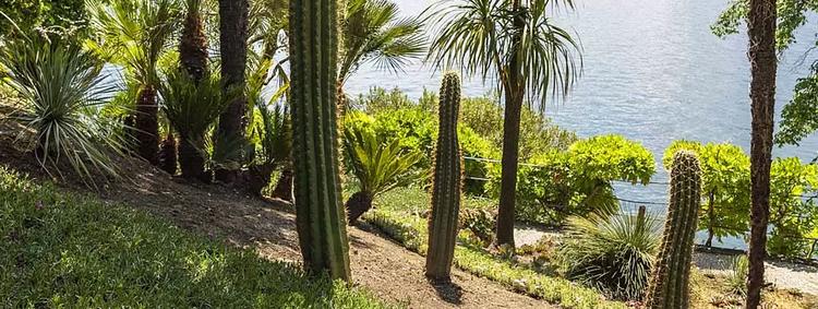 Il Giardino Botanico - Hotel Villa Cipressi