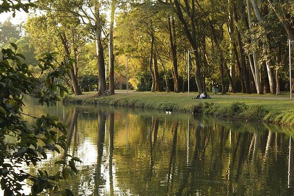 Parque Ibirapuera