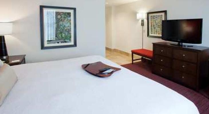 Hampton Inn & Suites Atlanta-Downtown