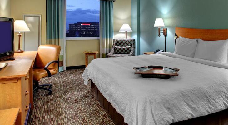 Hampton Inn & Suites by Hilton Miami Airport South - Blue Lagoon