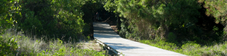 Kiawah Beachwalker Park