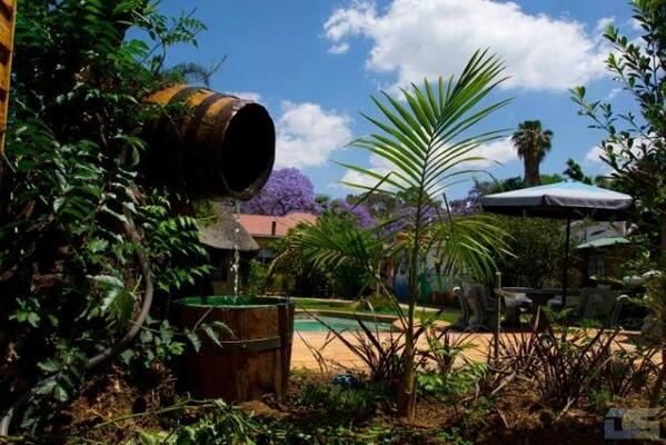 1322 Backpackers International