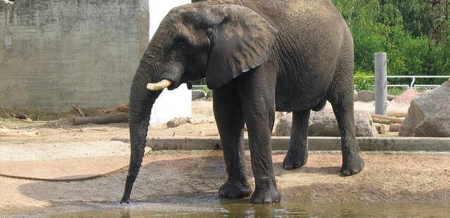 Tallinn Zoo