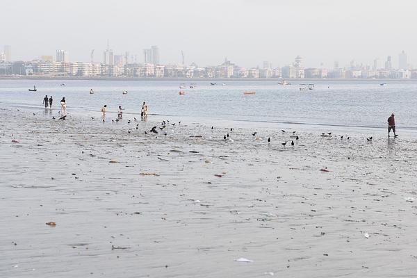 Chowpatty Beach