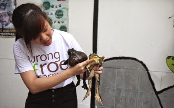 Jurong Frog Farm