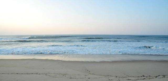 Marram