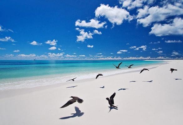 Bird Island, Seychelles