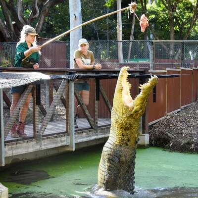 Billabong Sanctuary