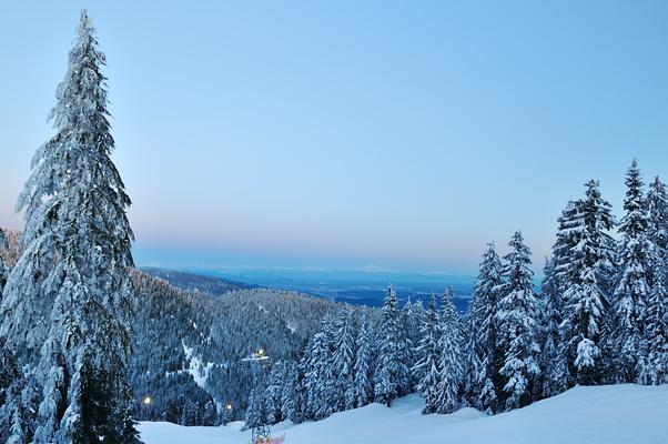 Grouse Mountain