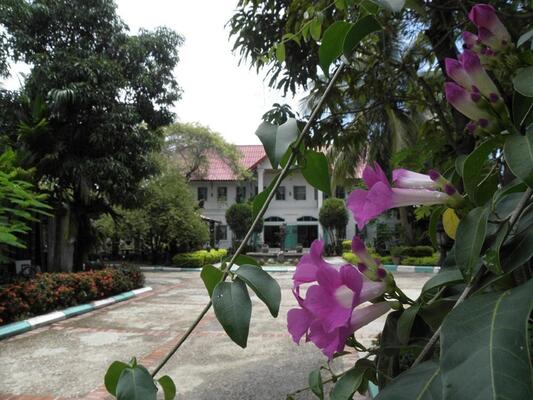 Sabaidy Guest House