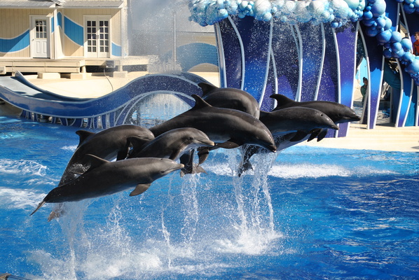 SeaWorld