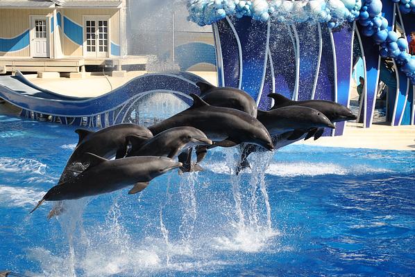 SeaWorld