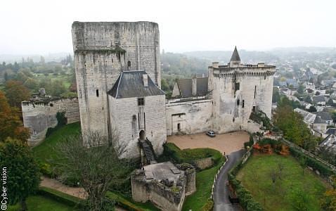 Le Donjon de La Cite Royale de Loches