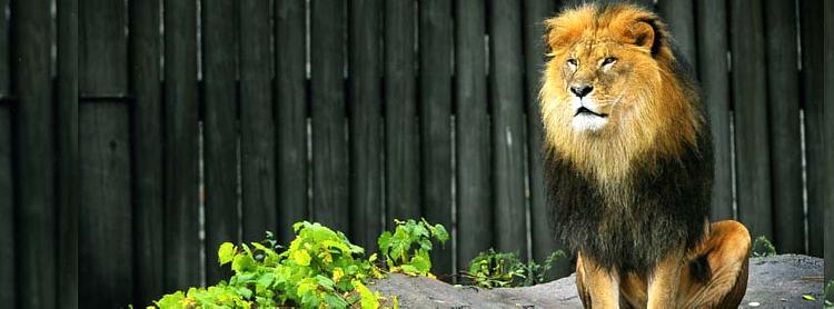 Cleveland Metroparks Zoo