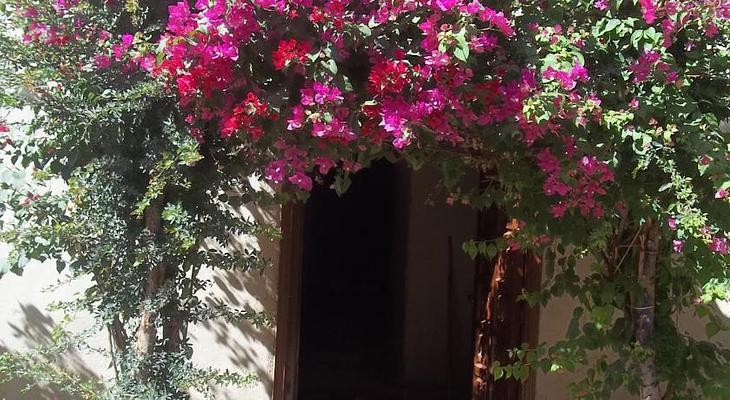 Nour El Gourna