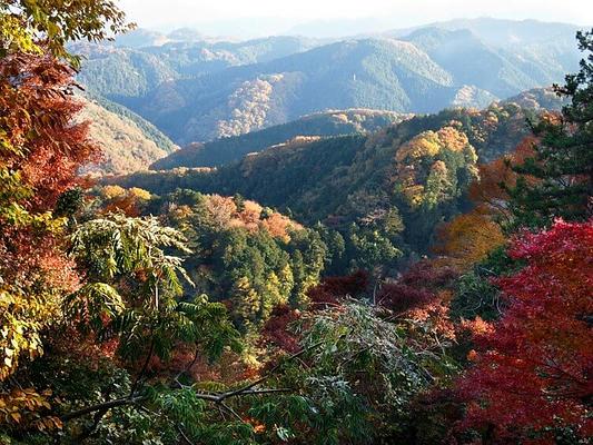 Mt. Takao