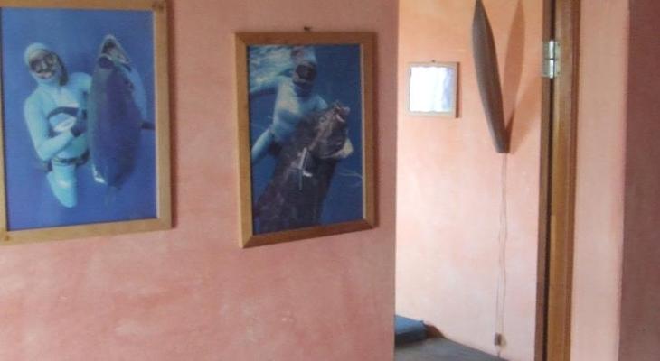 Tortuga Bed & Breakfast