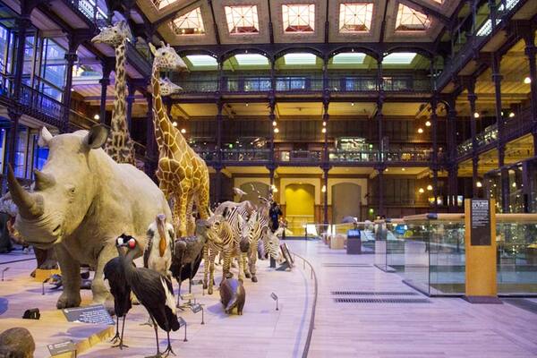 Grande Galerie de l'Evolution