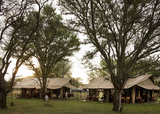 Kimondo Camp, Asilia Africa