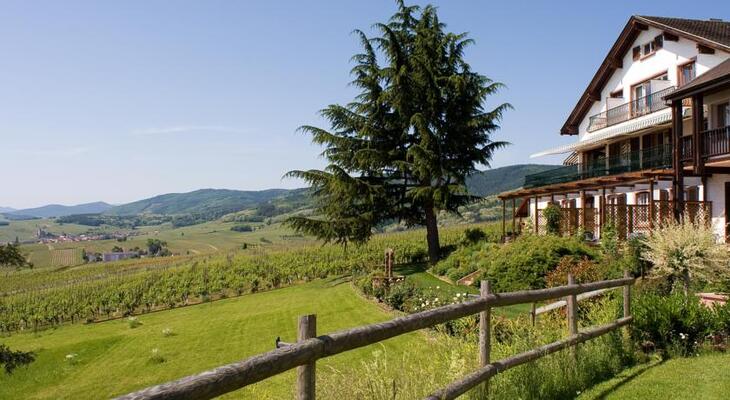 Le Clos Saint Vincent