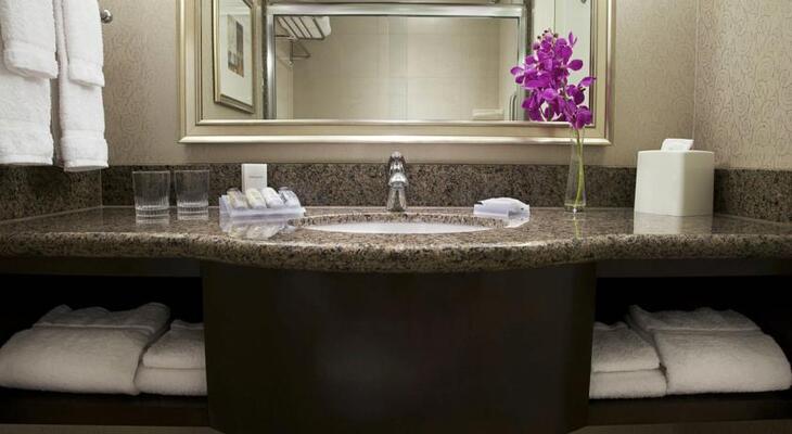 Toronto Downtown Hilton Garden Inn
