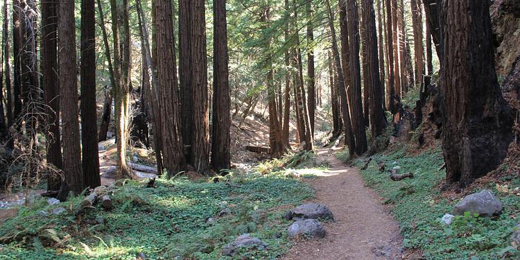 Limekiln State Park