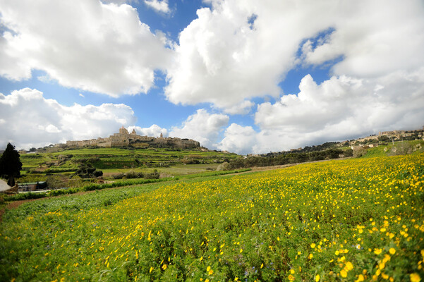 The Westin Dragonara Resort, Malta