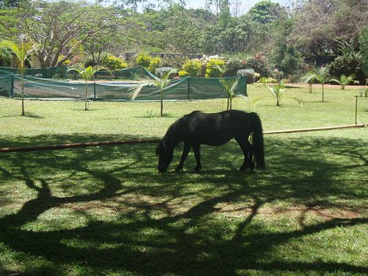 Kilimanjaro Country Lodge