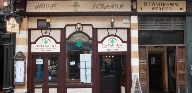 The Cedar Tree
