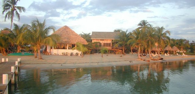 Green Parrot Beach Houses & Resort