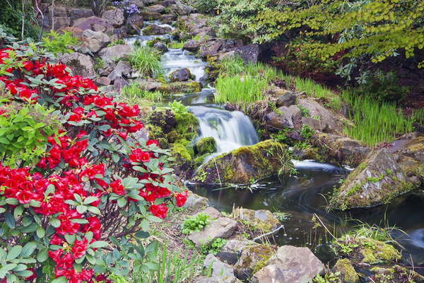 Royal Botanic Garden Edinburgh