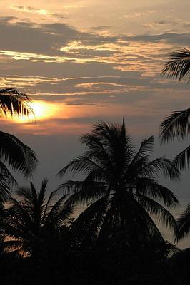 Oasis Koh Chang