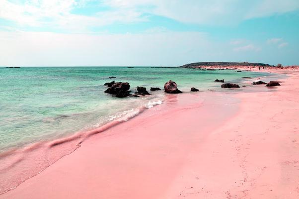 Pink Sands Beach